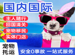 海口航空运输国际宠物托运 【国